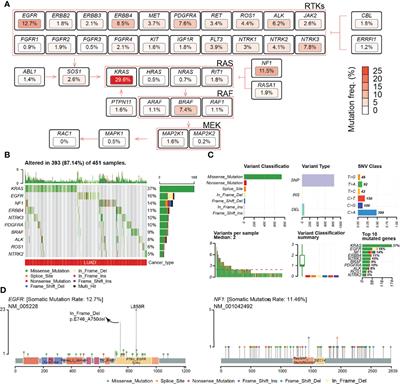 Genomic Landscape of RTK/RAS Pathway and Tumor Immune Infiltration as Prognostic Indicator of Lung Adenocarcinoma